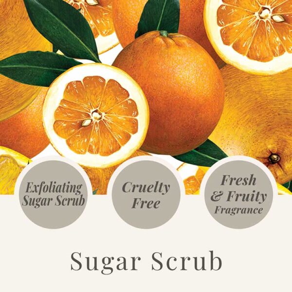 sugar scrub coconut & lime 310gr