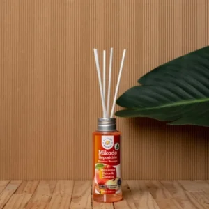 Αρωματικό χώρου με sticks Μήλο και κανέλα 100ml