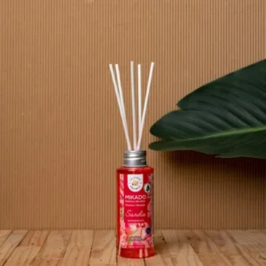 Αρωματικό χώρου με sticks καρπούζι 100ml